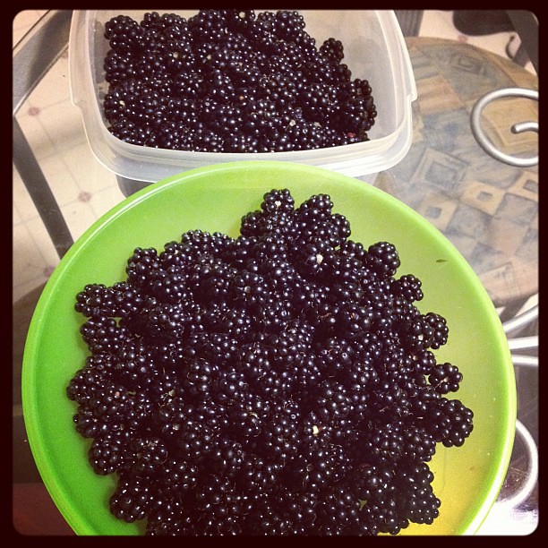 blackberry haul!