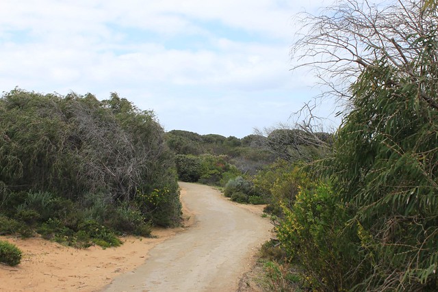 Whale lookout walk, Cape Naturaliste