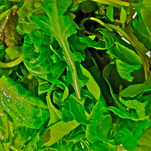 Salad Greens by Irene.B.