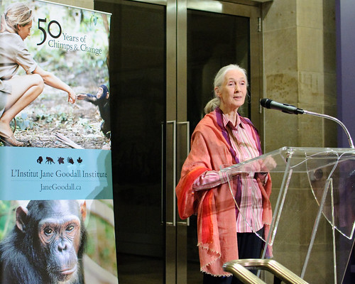 Jane Goodall at the Royal Ontario Museum