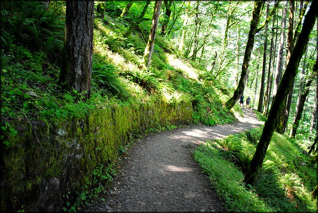 Trail from Horsetail Falls to Ponytail Falls - Columbia River Gorge