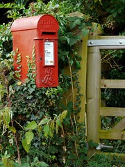 Coleshill (Post Box)