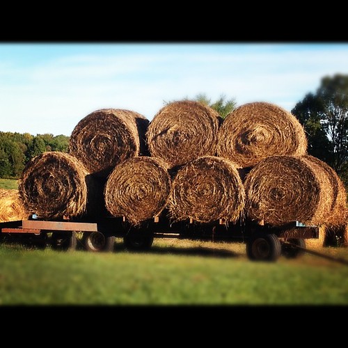 Farm Living - Hay Bales