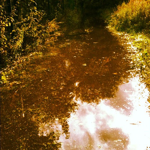 Flooded path