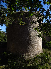 Château de Montaiguillon