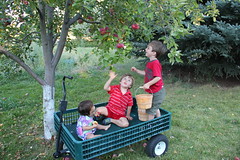 Three kids in a wagon 12