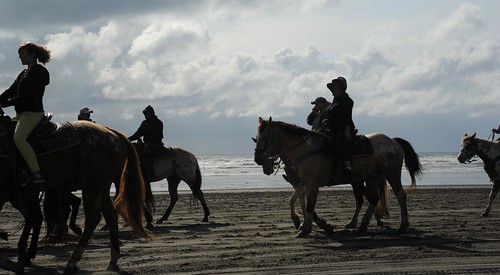 Riding horses on the beach, Pacific Ocean, Ocean Shores, Washington, USA by Wonderlane