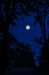 Blue Moon_8589.jpg by Mully410 * Images