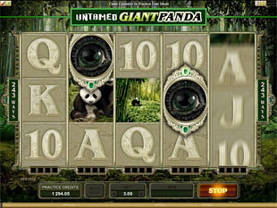 Untamed - Giant Panda Slot Machine