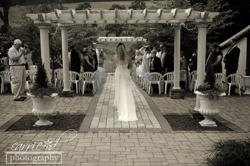 Maryland Wedding Photographer - Ostertag Vistas - Myersville, MD - Burton Wedding 9-2-2012 (496 of 578)BLOG
