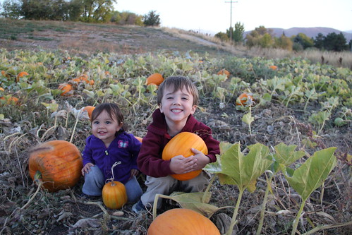 The two kids in the pumpkins 3