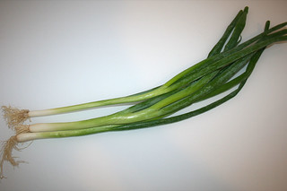06 - Zutat Frühlingszwiebeln / Ingredient spring onions