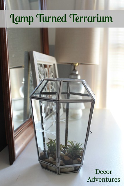 Lamp Turned Terrarium Craft