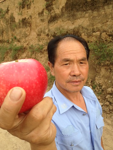 Mr. Feng, apple farmer Luochuan China
