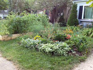 The perennials in the front yard, September