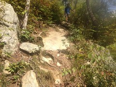  Linville Gorge Trail 4 