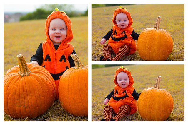 Baby Pumpkin Collage 1