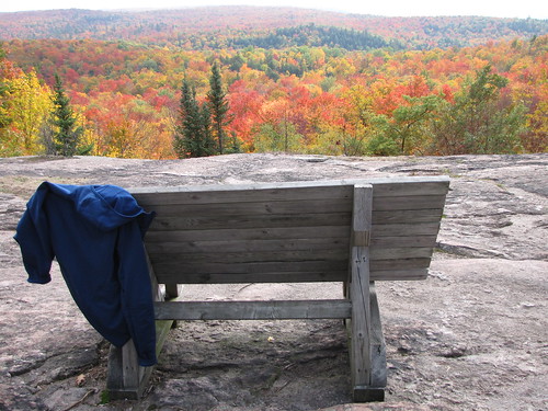 Wolf trail bench