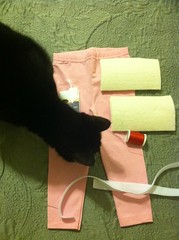 Knee pad project (with optional cat)
