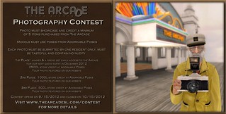 The Arcade:  Photography Contest