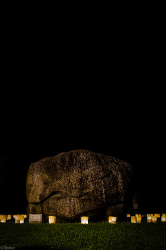Kameishi(Tortoise Stone) at Asuka by hyossie