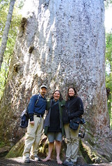 Jim, Kathy, and Stephen King in front of an ancient kauri tree