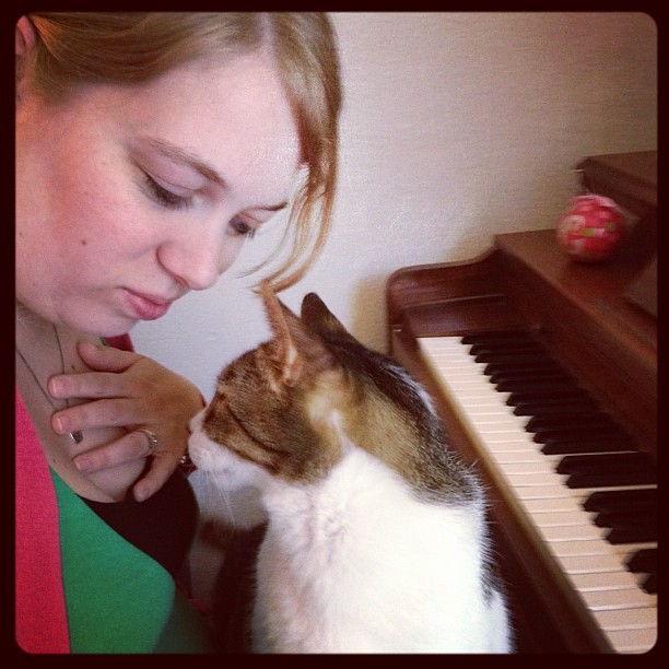 I decided to sit down and play piano. Stank had other ideas....
