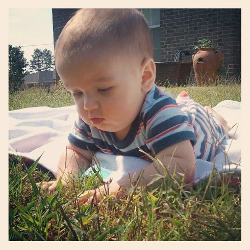 i think this is the 1st time i've let him play with grass? homeboy is too cute for his own good.