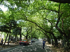 東京市公墓公園化，常有民眾休憩駐足！