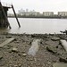 Canary Wharf from the shore in Deptford