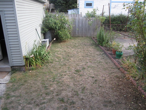 The Backyard Before