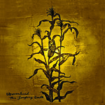 WOVENHAND: The Laughing Stalk (Glitterhouse Records 2012)