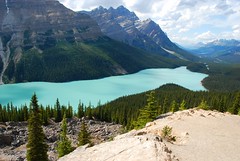 Rocky mountains highway & Lac Peyto