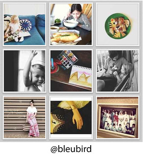 Instagram_Bleubird