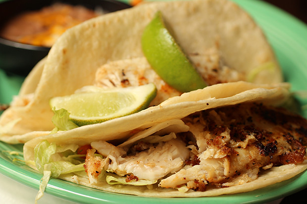 Fish Tacos, Don Pablo's, Sarasota, FL, Restaurant Review