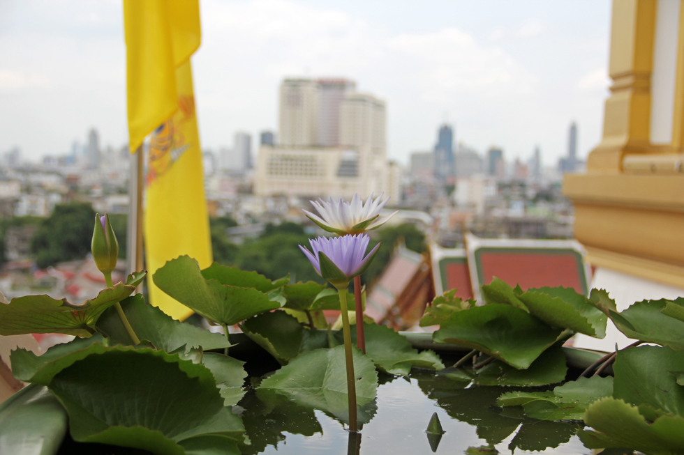 Lotus Planter at the top of Wat Saket