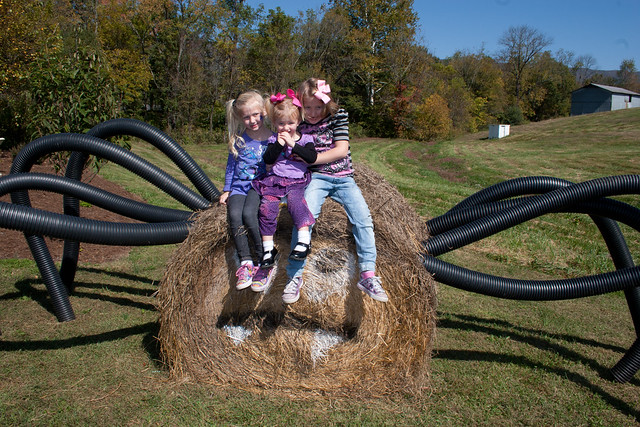Spooky Spider Fun at Wilderness Road State Park Heritage Festival