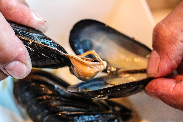 How to Eat a Mussel, Brasserie Belge, Sarasota, FL
