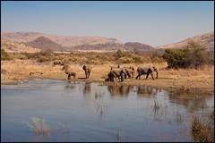 Zuid-Afrika 2012