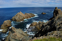 Newfoundland 2012