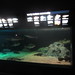 568-092312-New England Aquarium posted by Brian Whitmarsh to Flickr