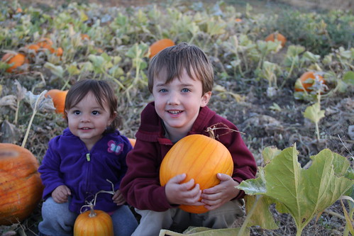 The two kids in the pumpkins 5