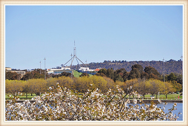 canberra7