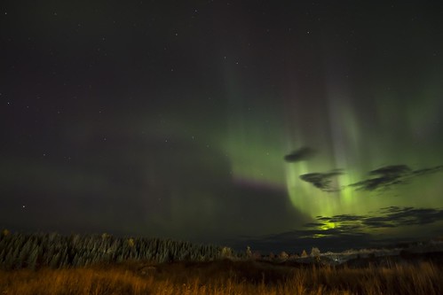 Northern Lights in Waswanipi