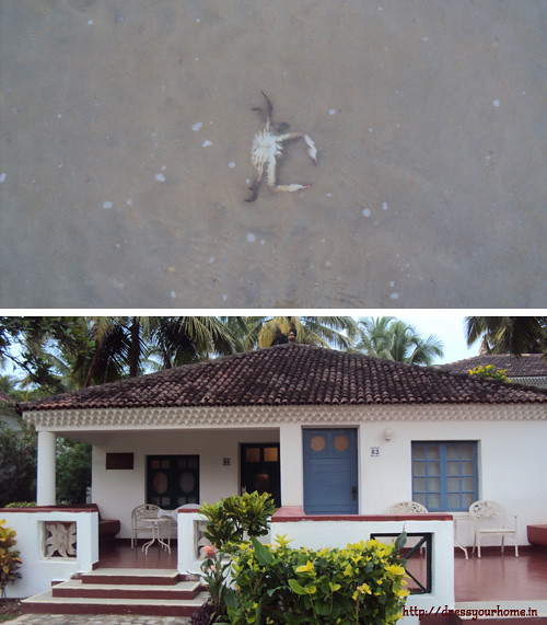Novotel Goa - one of the best beach resorts in Goa for family.