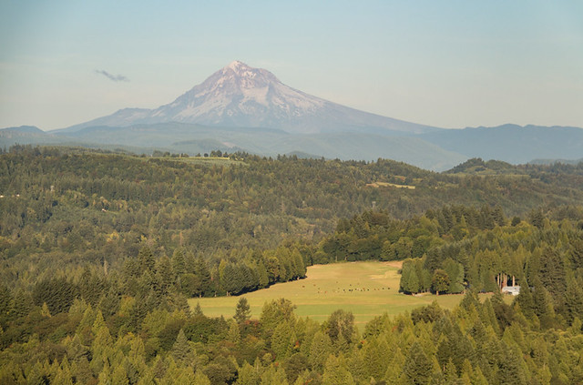 Mt Hood from the Jonsrud View Point