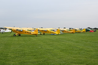 Yellow Nearly Cubs