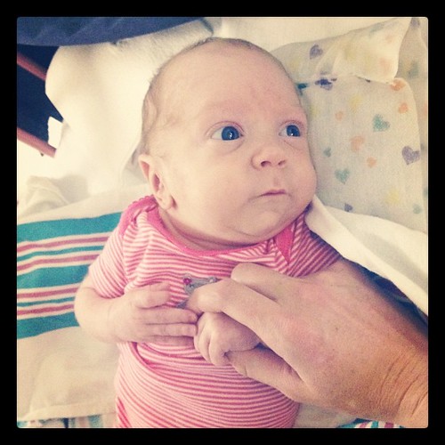 My precious little Avery.  #nicu #preemie #twins #28weekpreemie #royaldubs #ladyavery