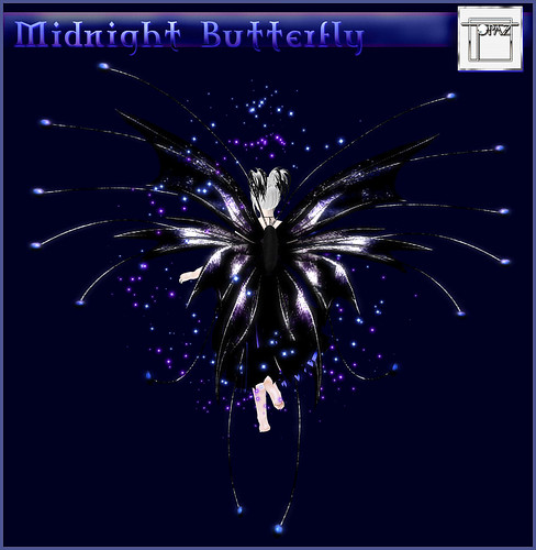 Midnight Butterfly 3