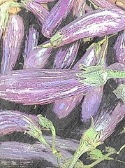 Eggplant  - image 305 by dennisar